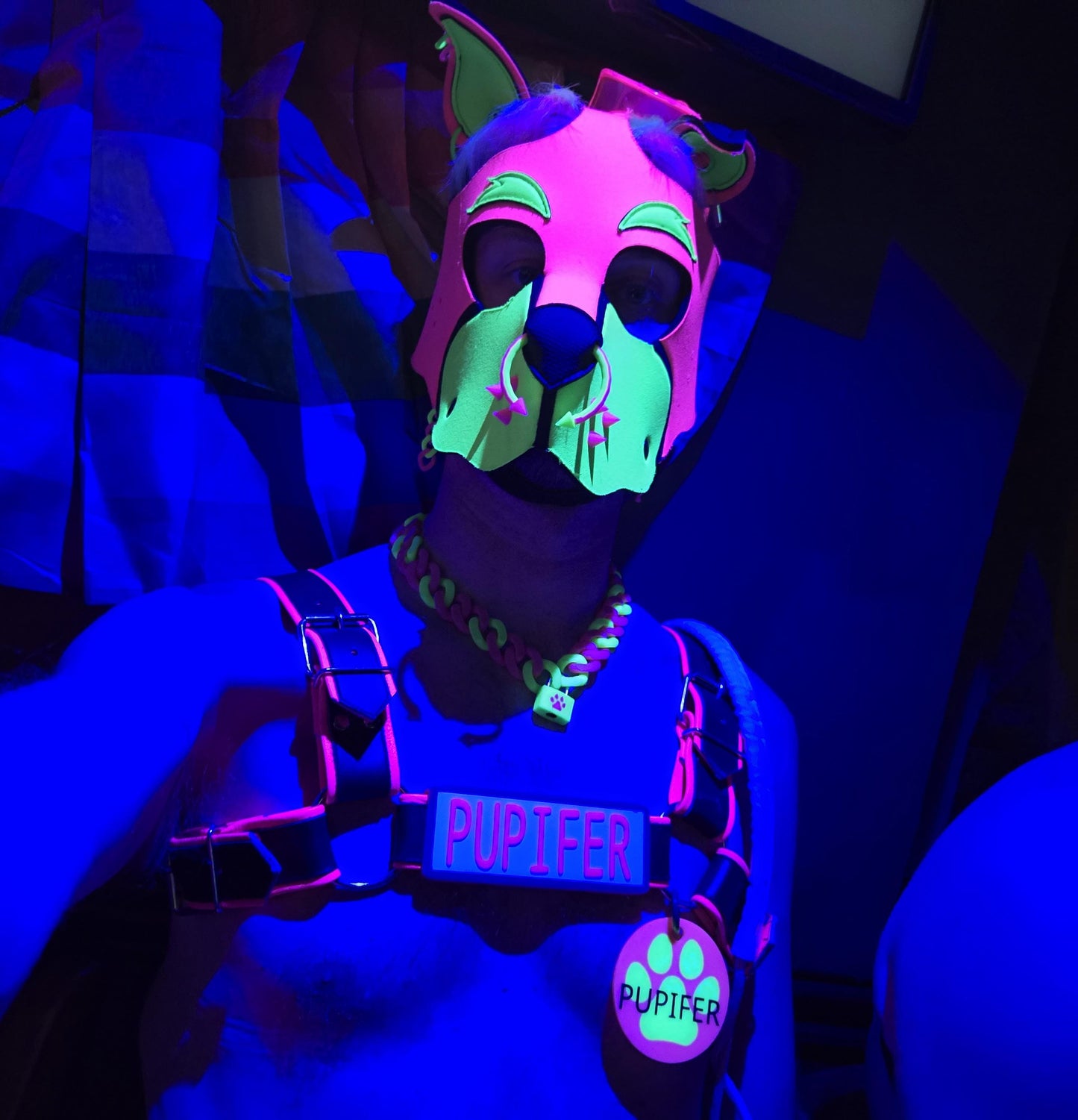 High Tech: 3D Printed Puppy Paw Name Badges (Includes NFC Chip)