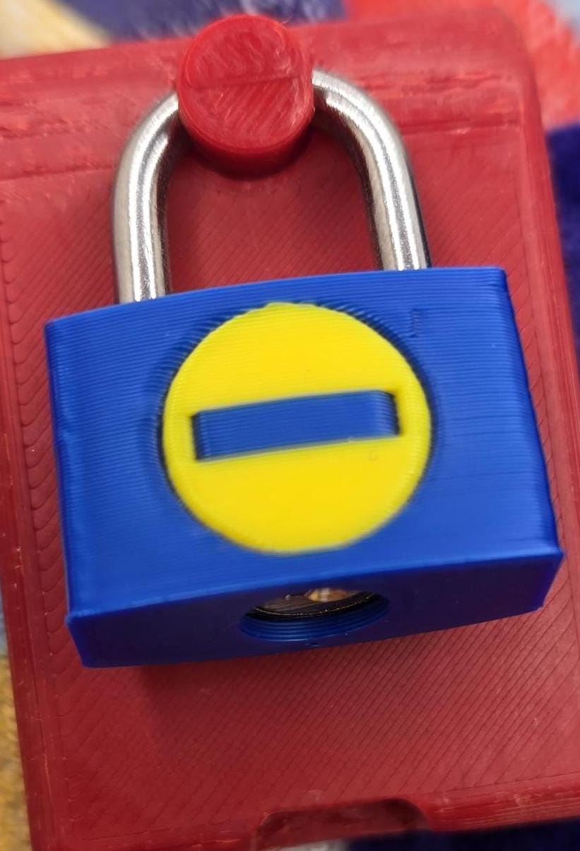 Custom Bondage/Restraint Small Copper Lock & Cover