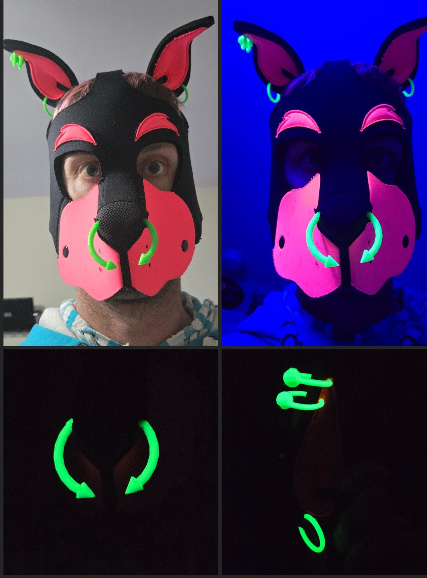 3D Printed Pup Hood Eyebrow Piercing