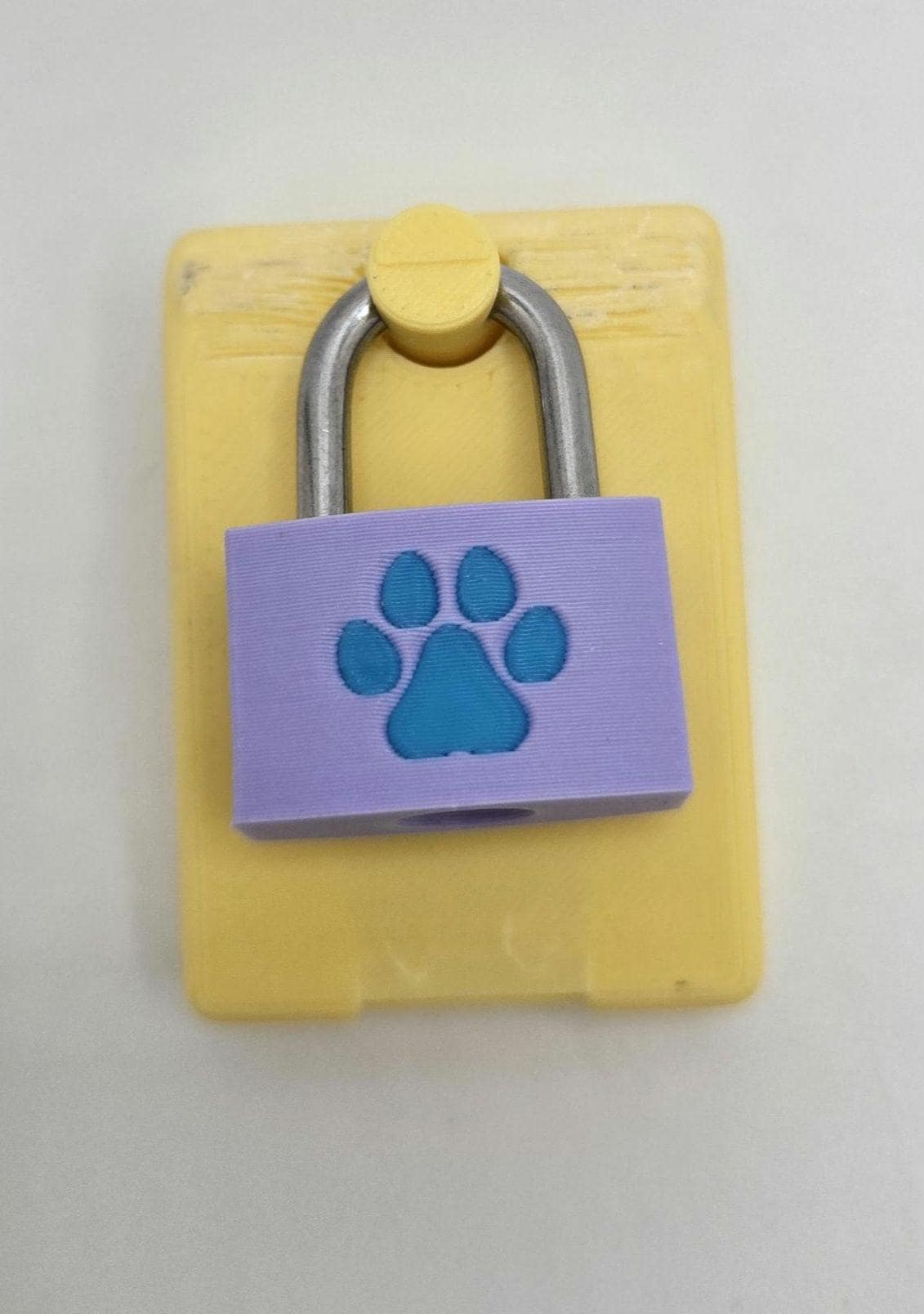 Custom Bondage/Restraint Small Copper Lock & Cover