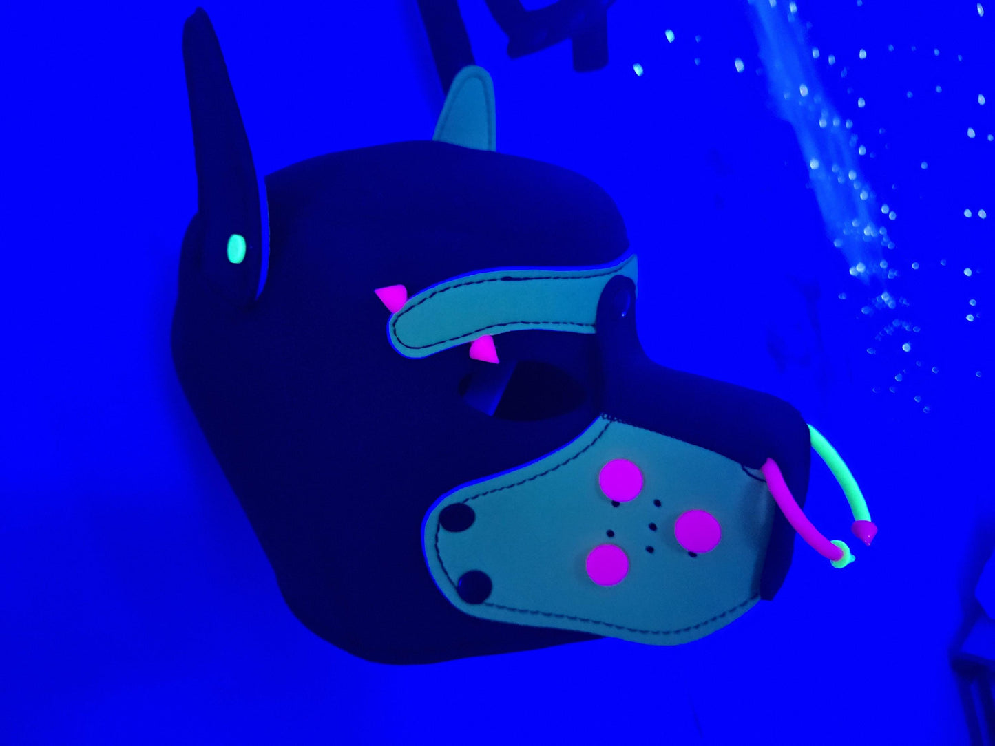 3D Printed Pup Hood Real Ear Piercing