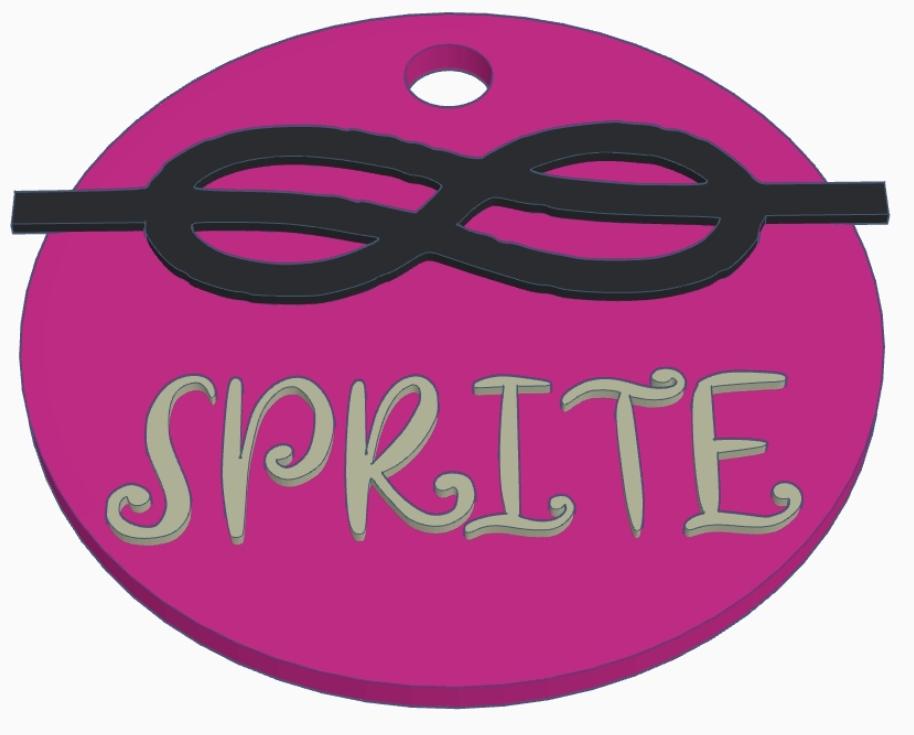 Fully Custom High-Tech Nametag, Badge, Medallion, Necklace, Keychain